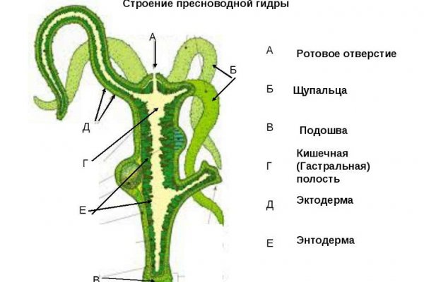 Что с кракеном сегодня сайт